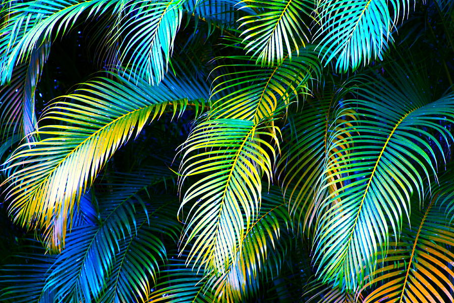 Palm Leaves In Blue by Karon Melillo DeVega