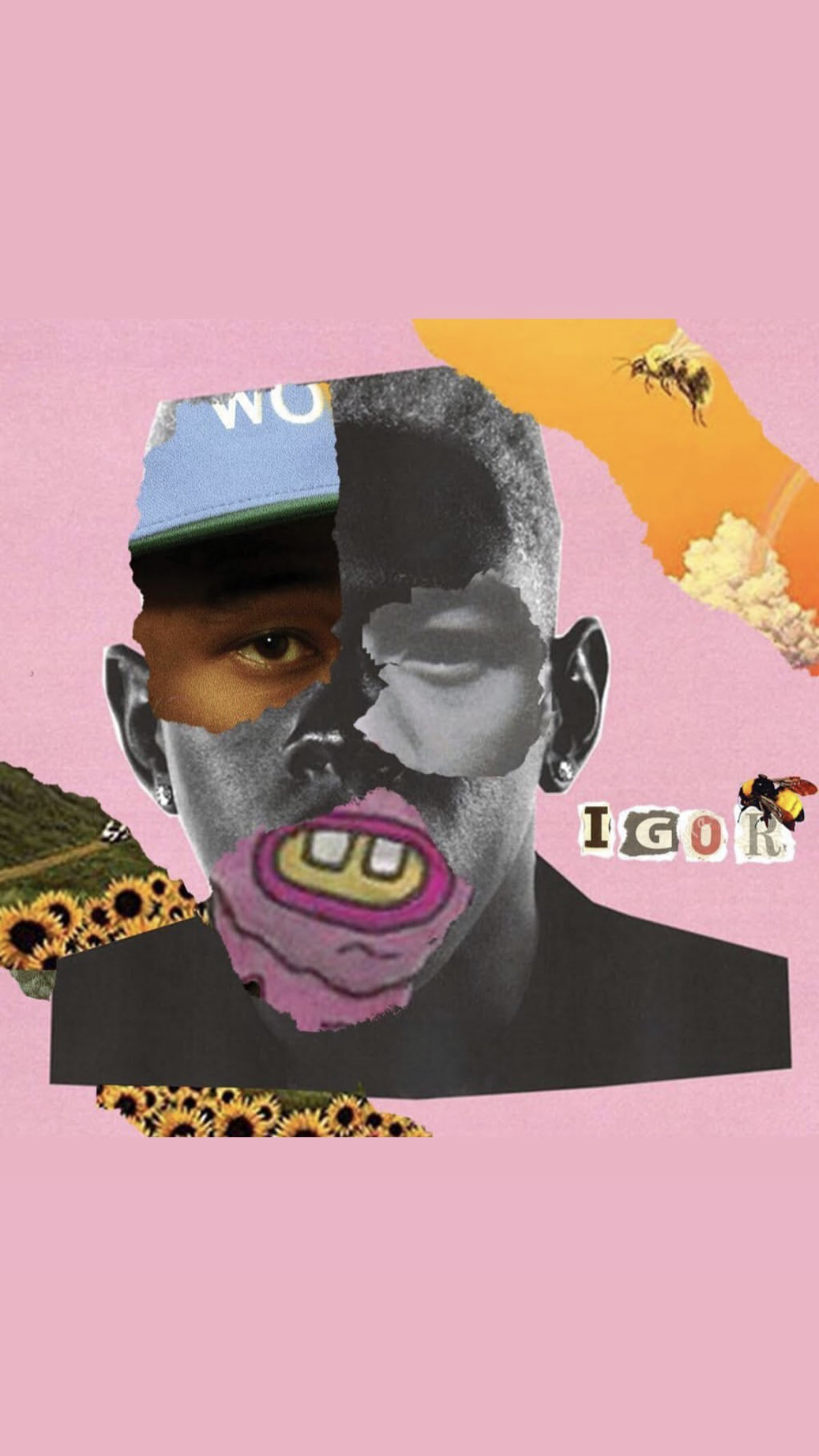 Tyler The Creator Wallpaper Discover More Actor American Rapper