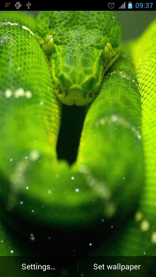Snake Live Wallpaper Android Apps And Tests Androidpit