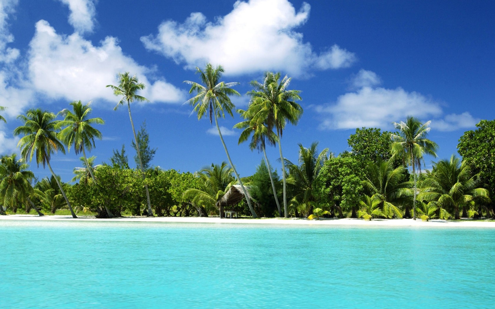 Tropical Island Beach Island Ocean Palm Palms Paradise Tropical Water