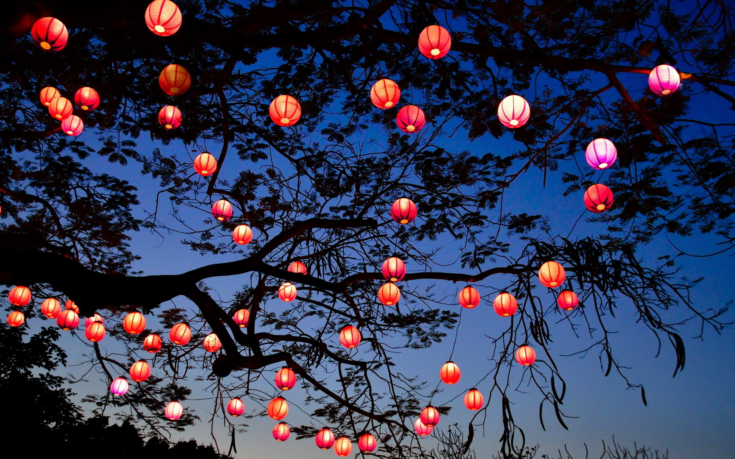 Radiant Lantern Glow Wallpaper
