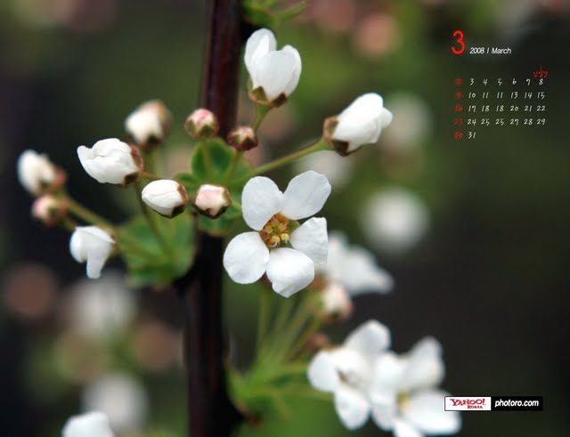 Flowers Wallpaper March Desktop Calendar