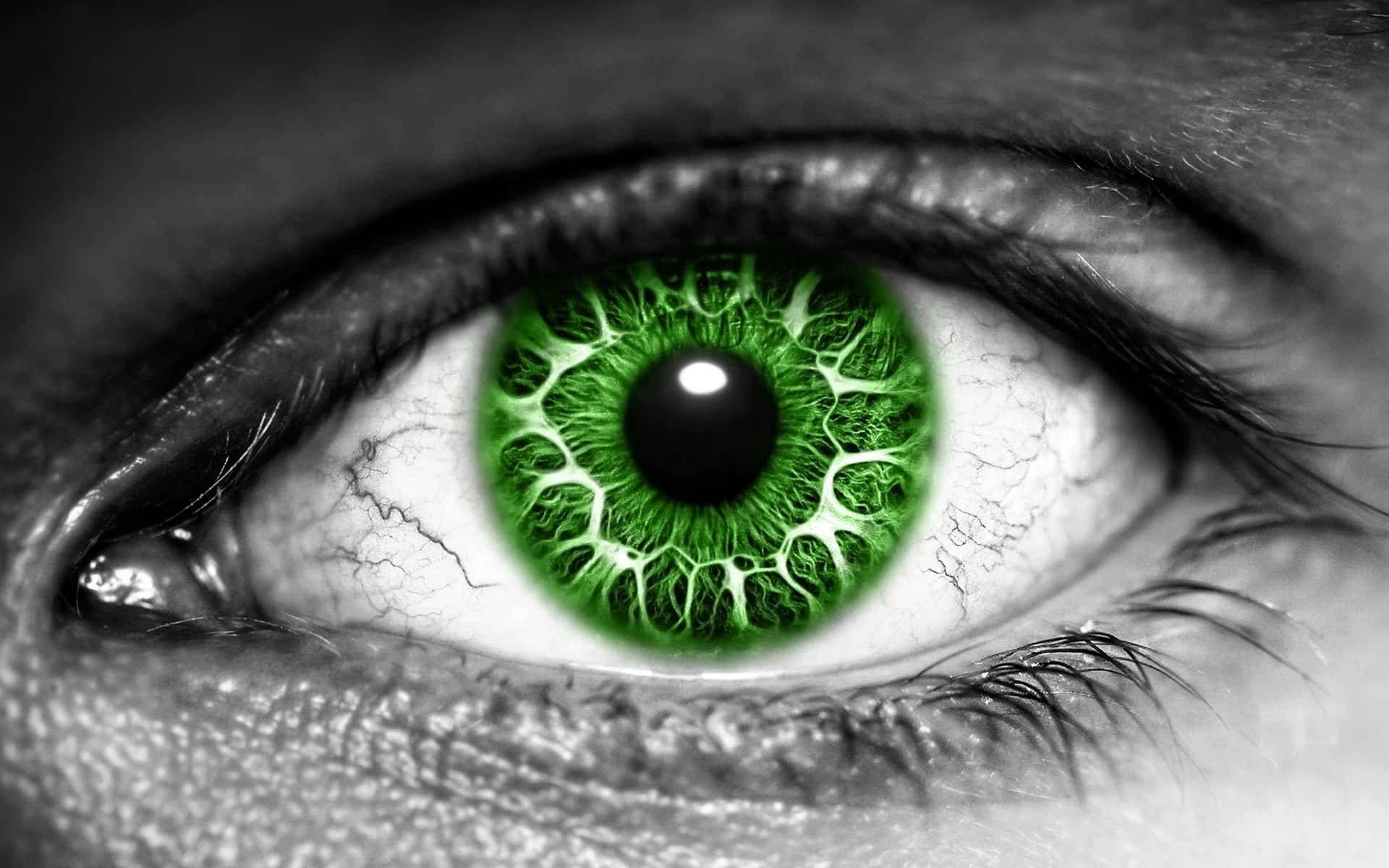 Green Eyes Wallpaper