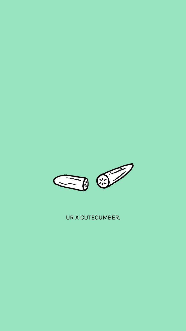 Mint Green iPhone Wallpaper