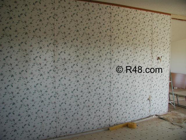 With The Cabinets Are Also An Issue Do You Repair Or Replace Them