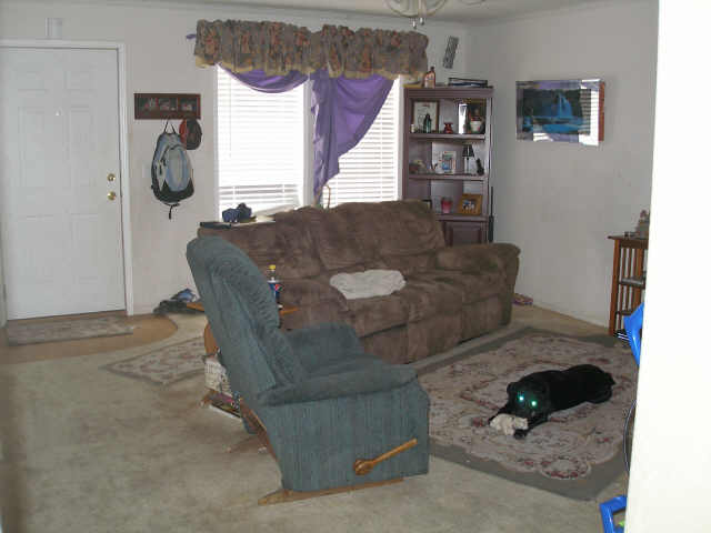 Dog Poor Home Staging Ugly Drapes Curtains Tomball Texas House