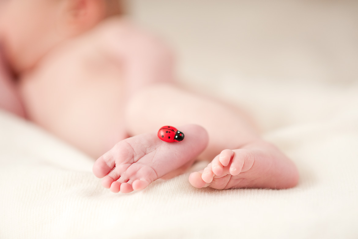 Cute Baby Feet HD Wallpaperwele To Starchop