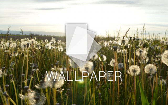 See Past Editions Of Android Wallpaper