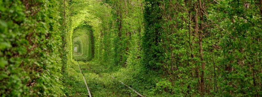 Nature Love Tunnels Ukraine Wallpaper