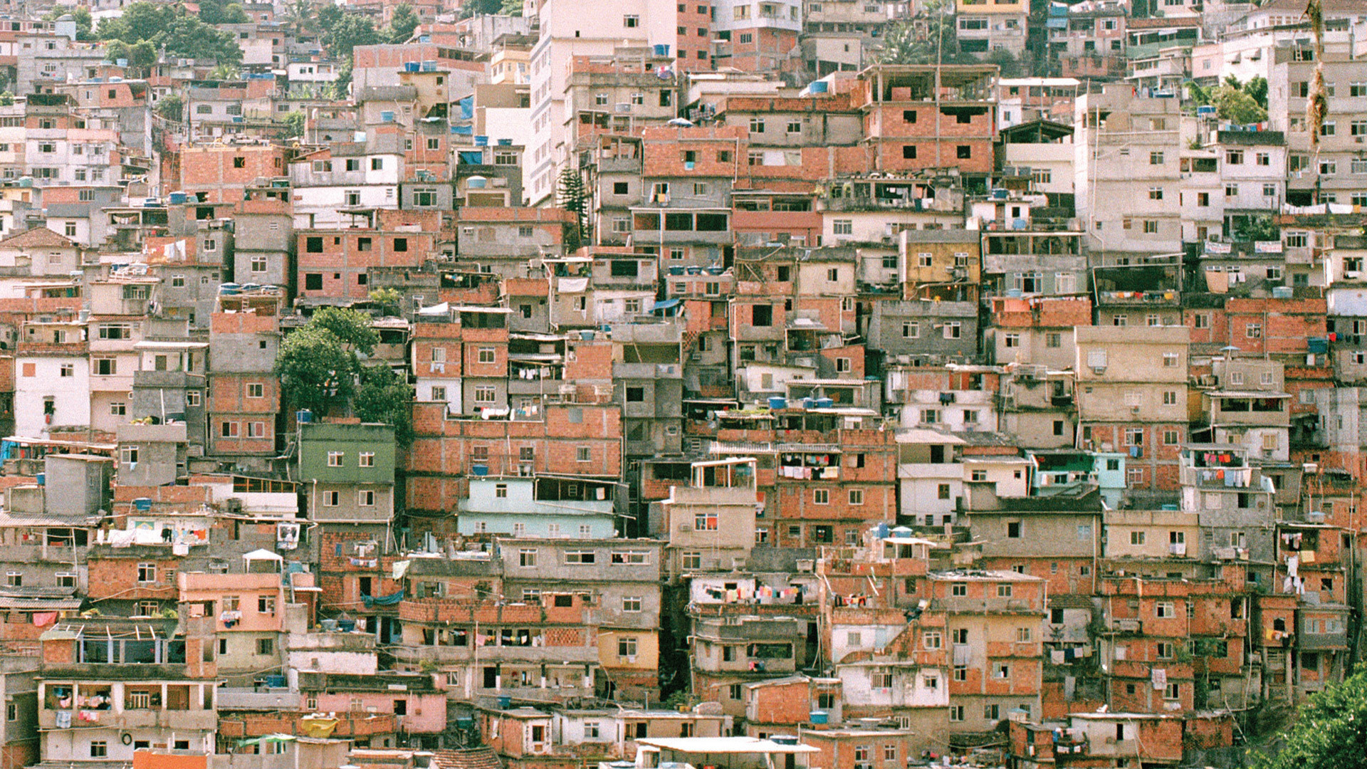 Fonds D Cran Favela Tous Les Wallpaper