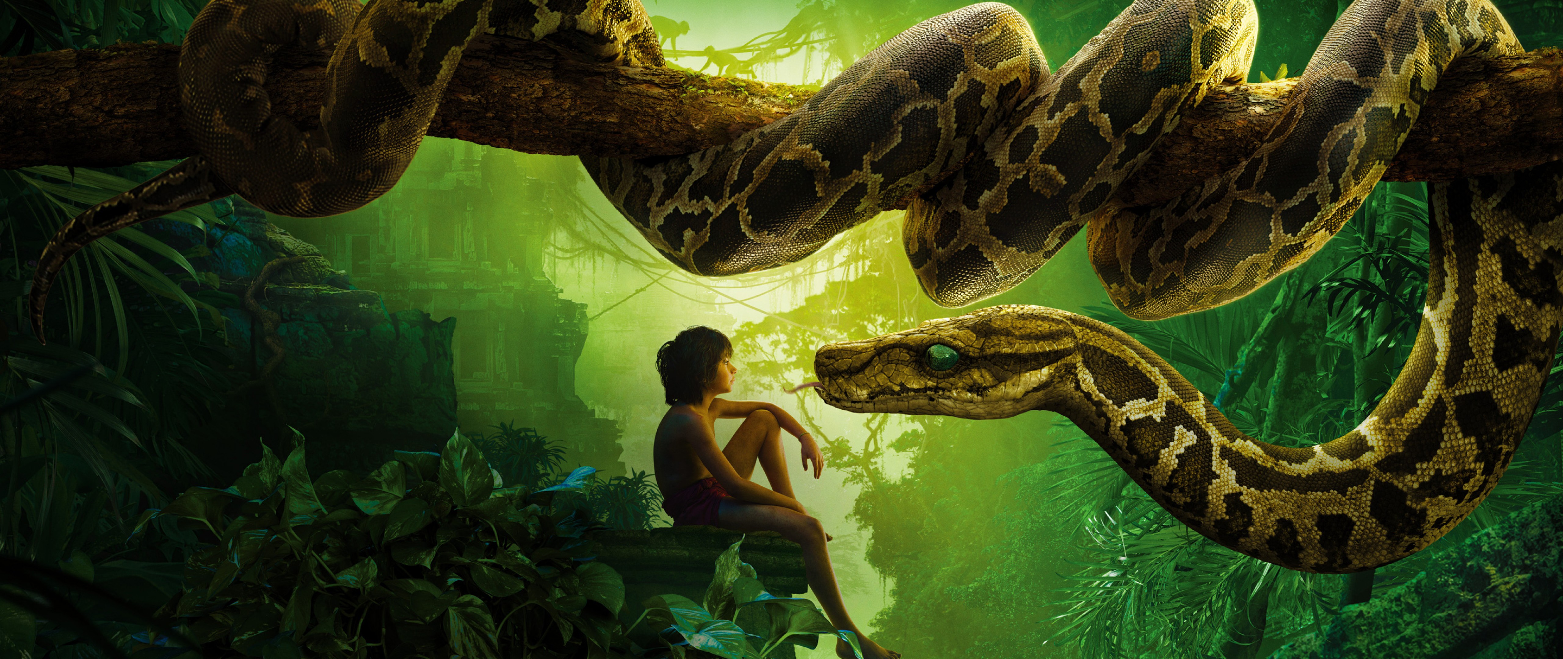 Jungle Book Snake Kaa Mowgli HD Wallpaper For Desktop And Mobiles