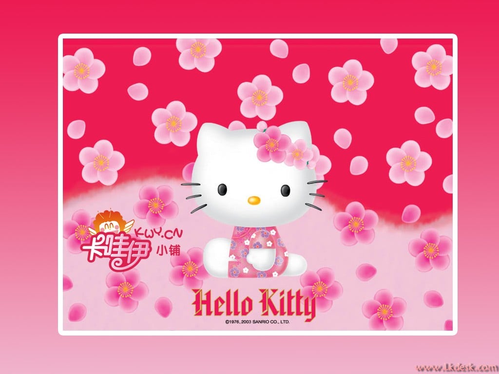 Hello Kitty 12