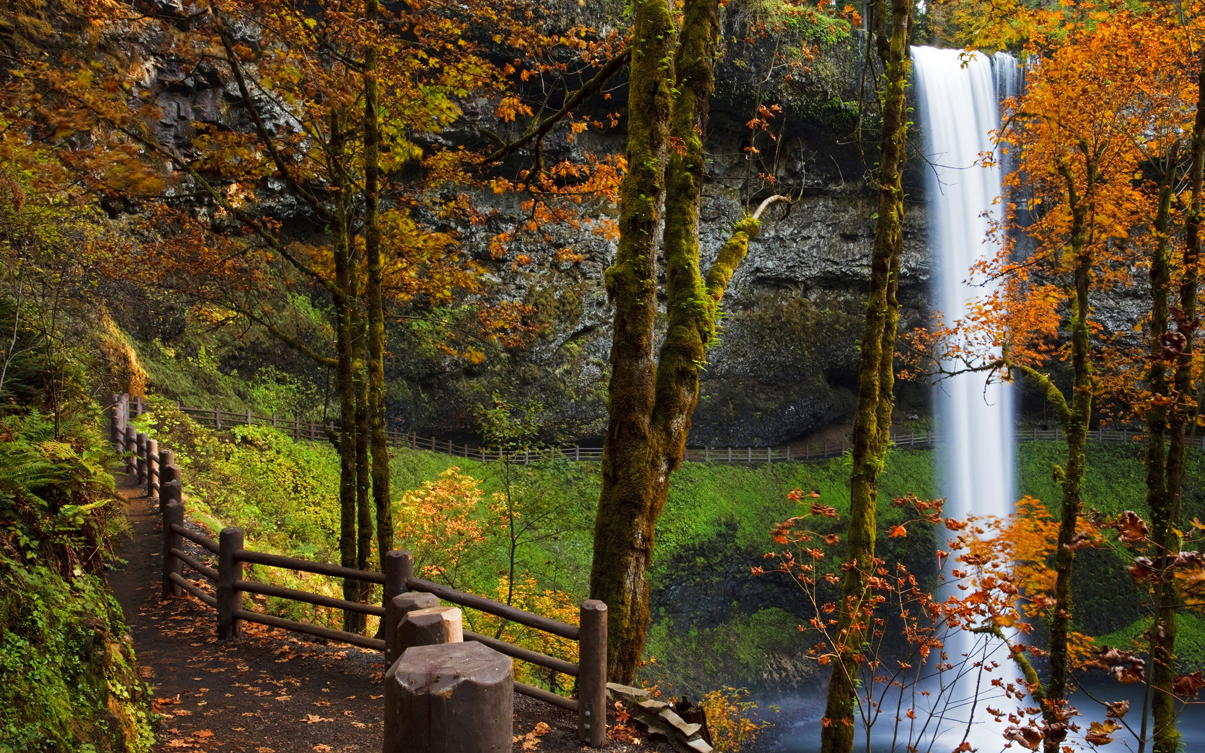 Picture Usa Silver Falls City Oregon Trail Nature Autumn