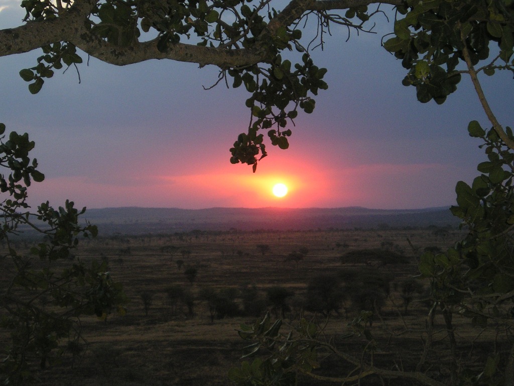 Wallpaper Sunset Over Kruger Park South Africa Uploaded By Outa S