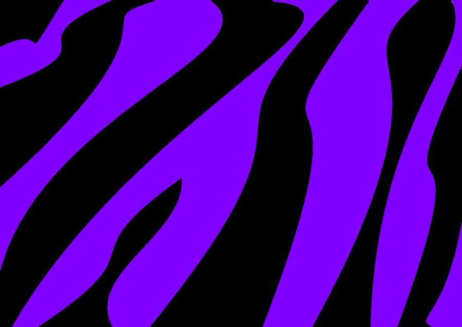 Zebra Purple Print By Bluberrygirl99 Pictures