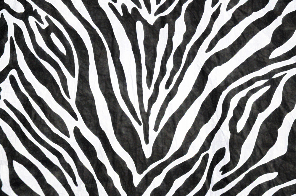 Zebra Print Pattern Wall Mural Ohpopsi Wallpaper