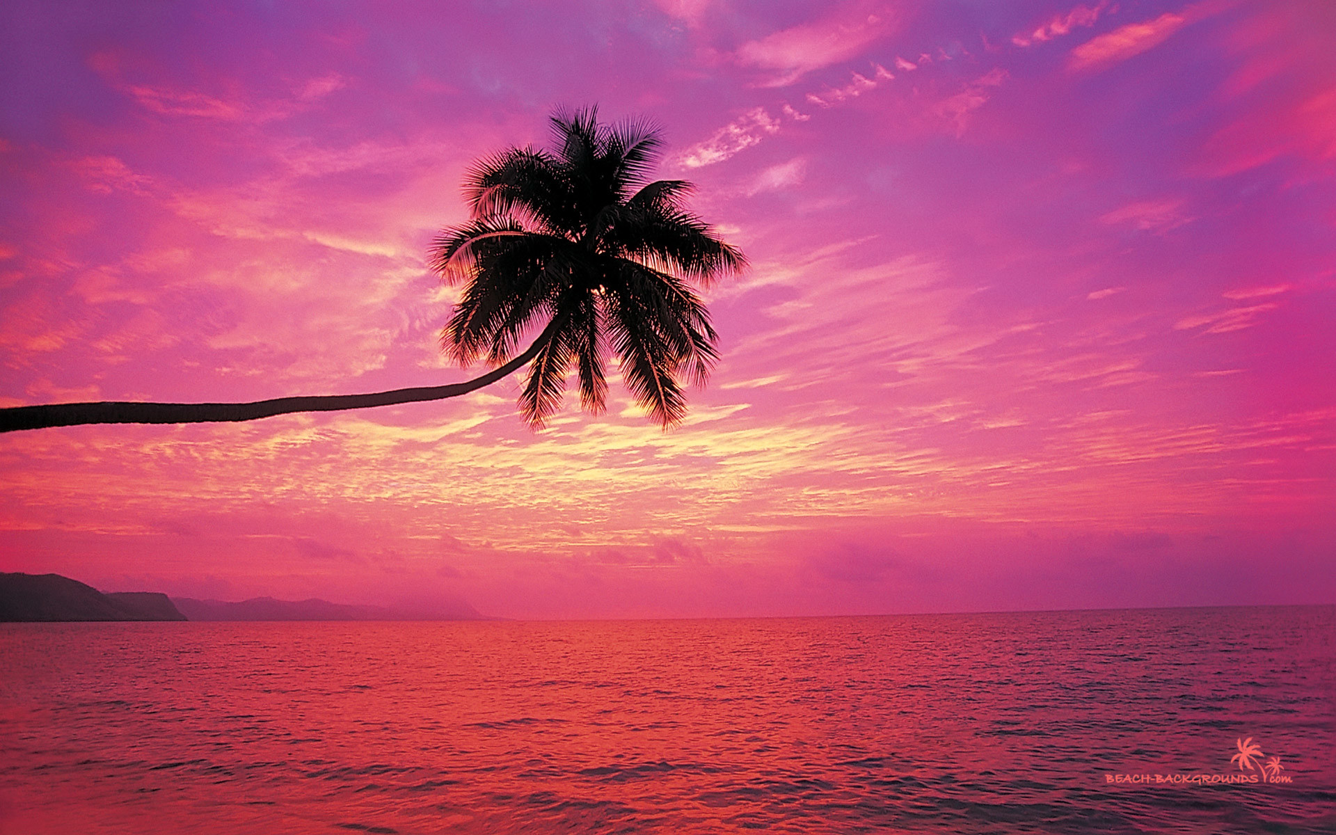 Colorful Sunsets Wallpaper