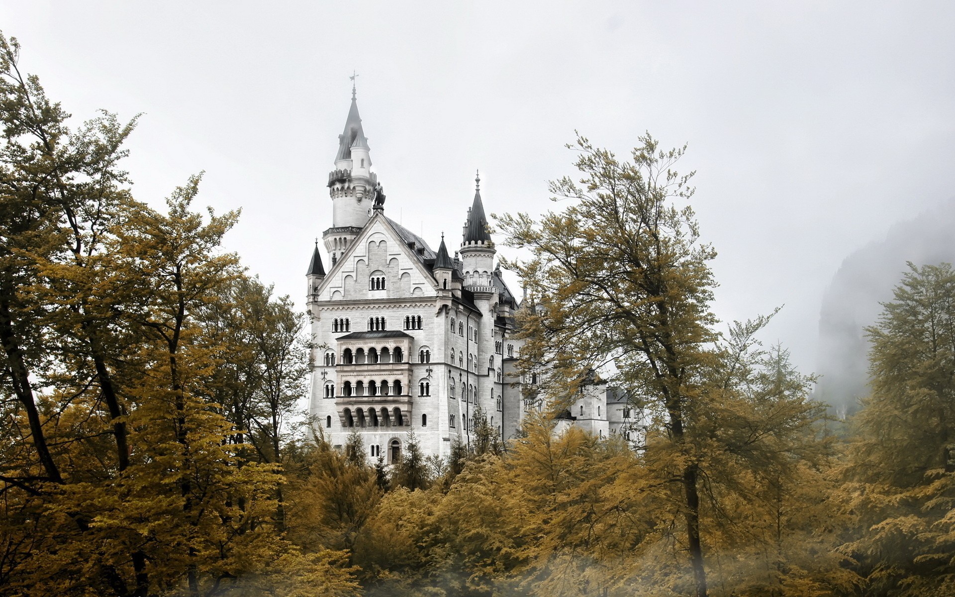 Neuschwanstein Castle Bavaria City Germany Gray