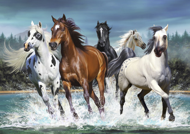 Running Horses Wall Mural Photo Wallpaper Photowall