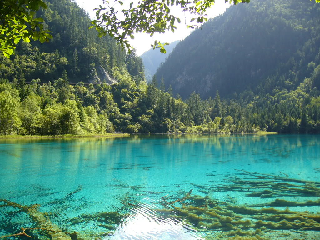 Full Screen Desktop Background Widescreen Hd Wallpaper