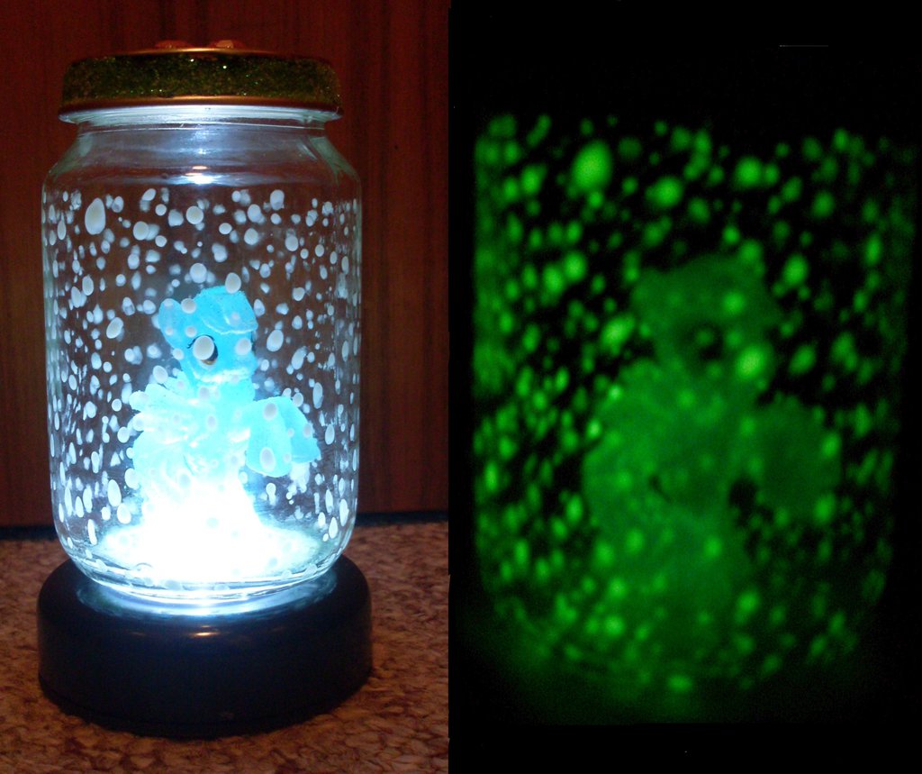 Fairy Glow Jar With A Pony By Wollfisch