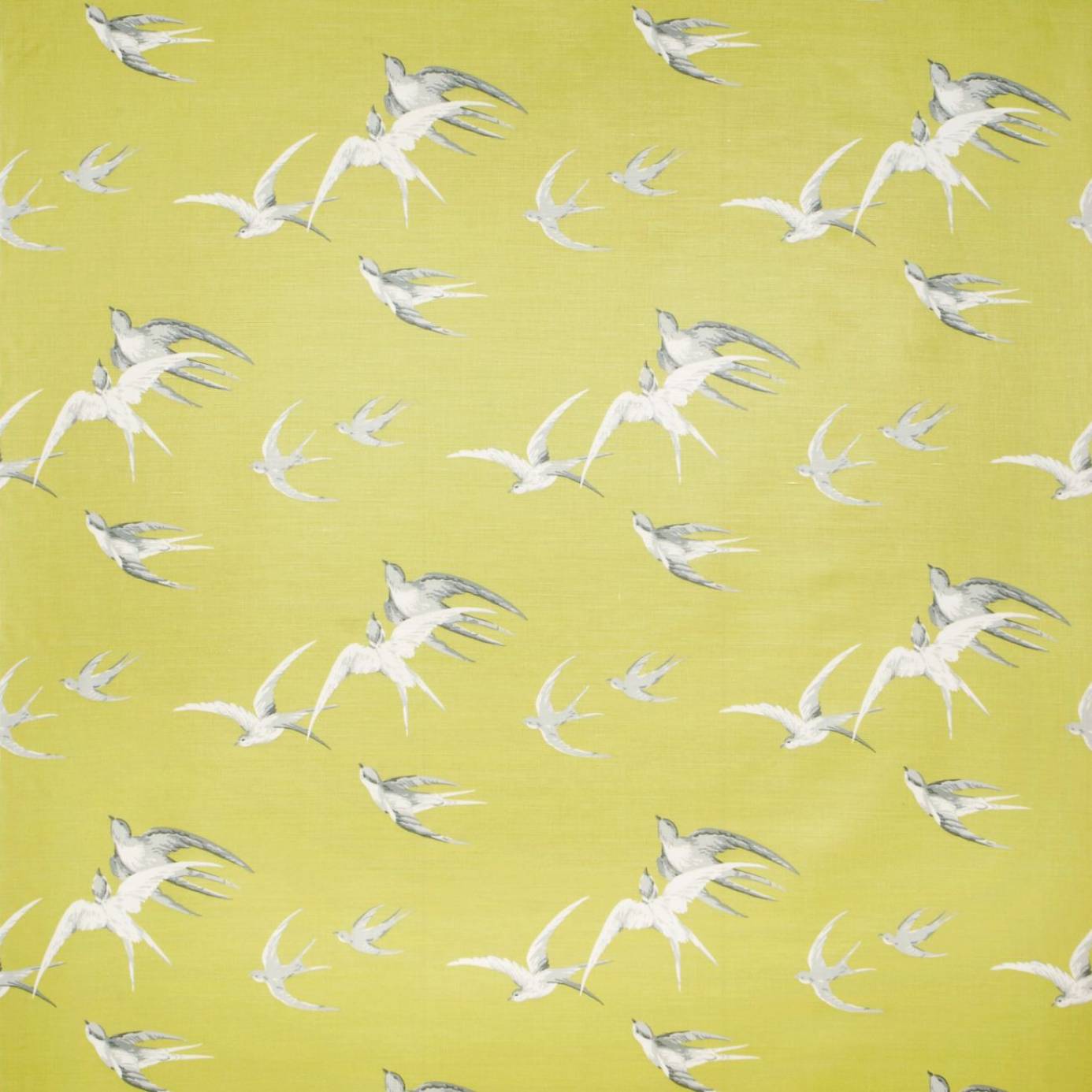 Home Wallpaper Sanderson Vintage Swallows Lime