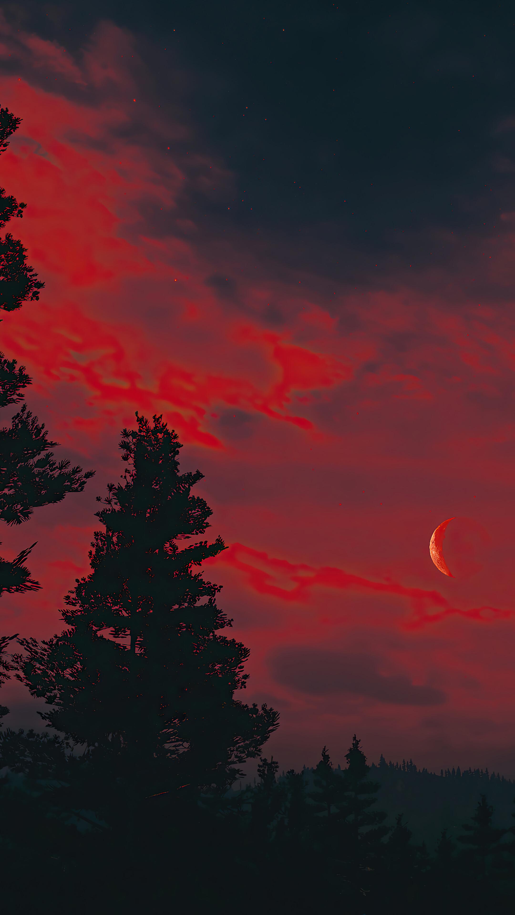 Moon Red Night Sky Forest Scenery 4k Wallpaper