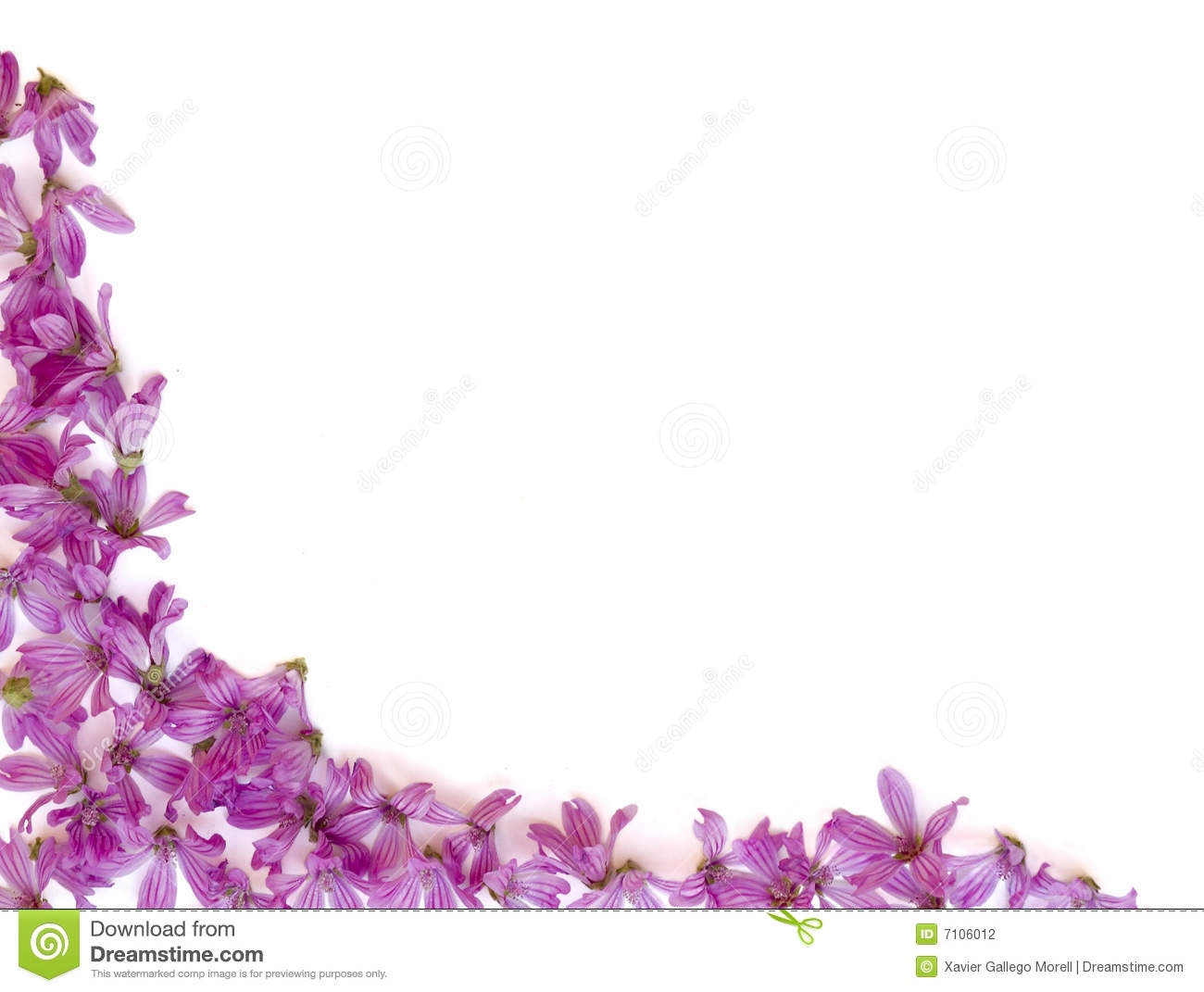 White Background Wallpaper Flowers   clipartsgramcom
