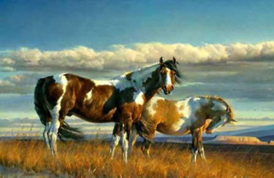 Paint Horses Wallpaper