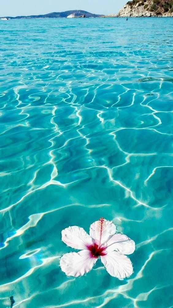 Aesthetic Ocean Wallpaper For iPhone