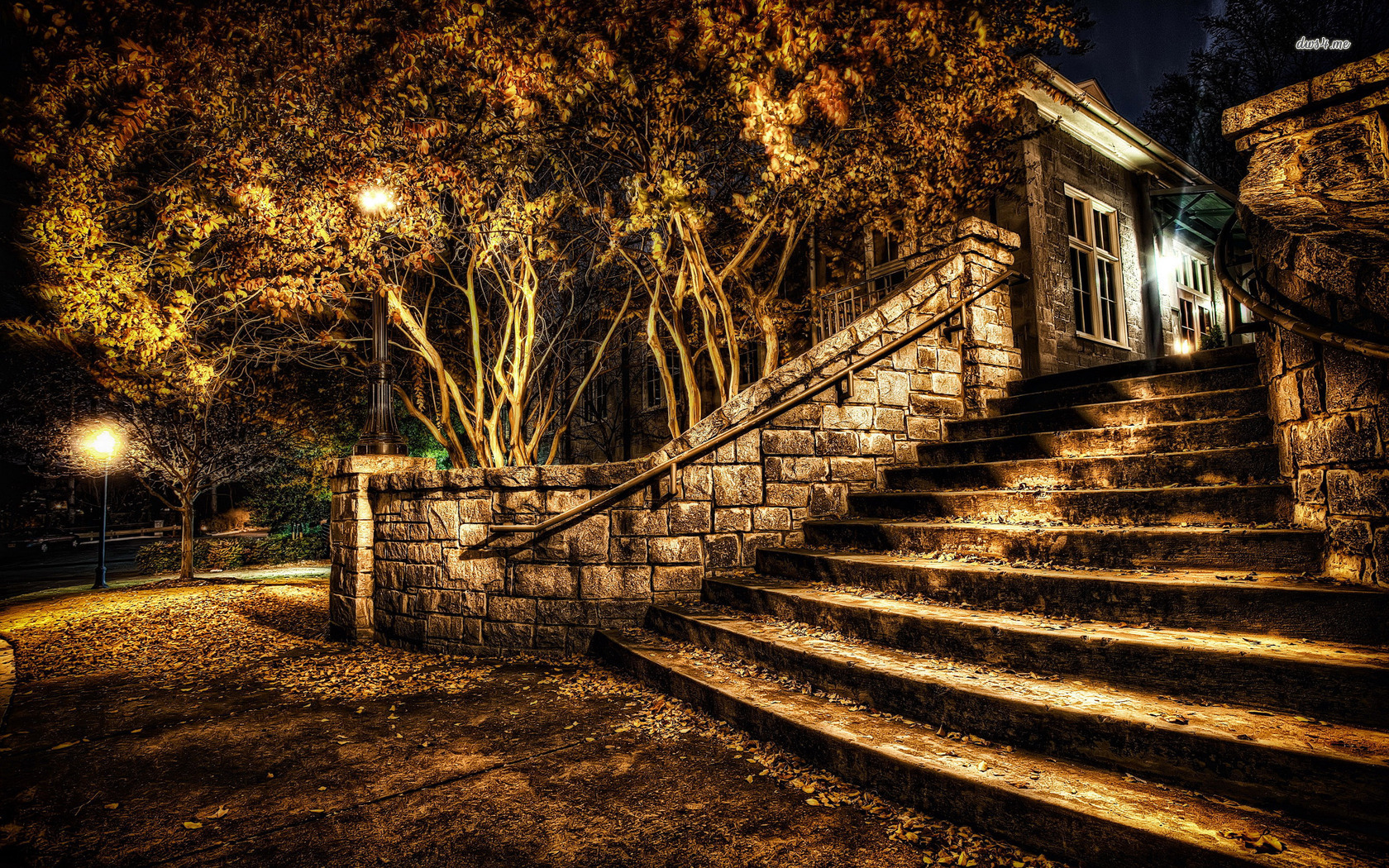 Covered Stairs In The Park Wallpaper Photography