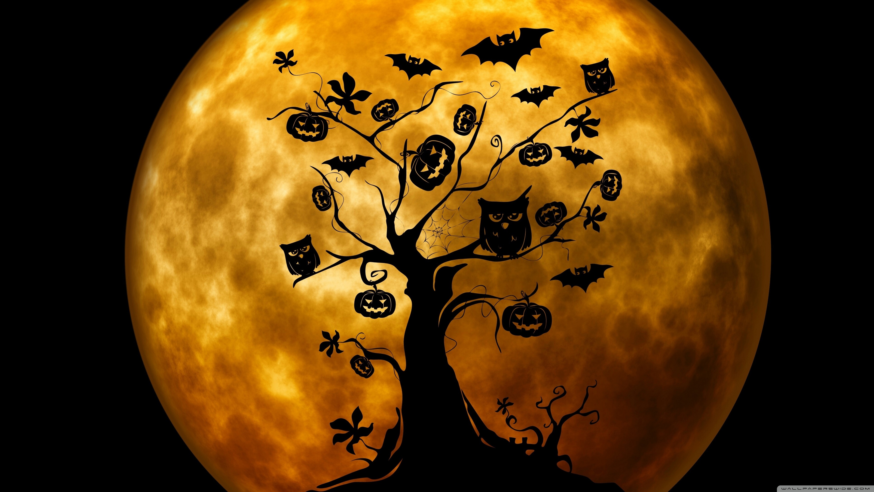 Halloween Owls And Bats Orange 4k HD Desktop Wallpaper For