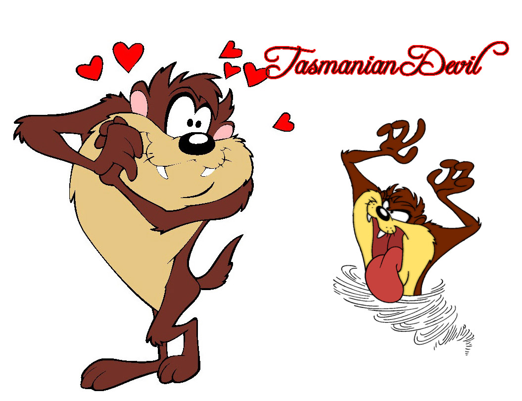 Looney Tunes Tasmanian Devil Character Wallpaper