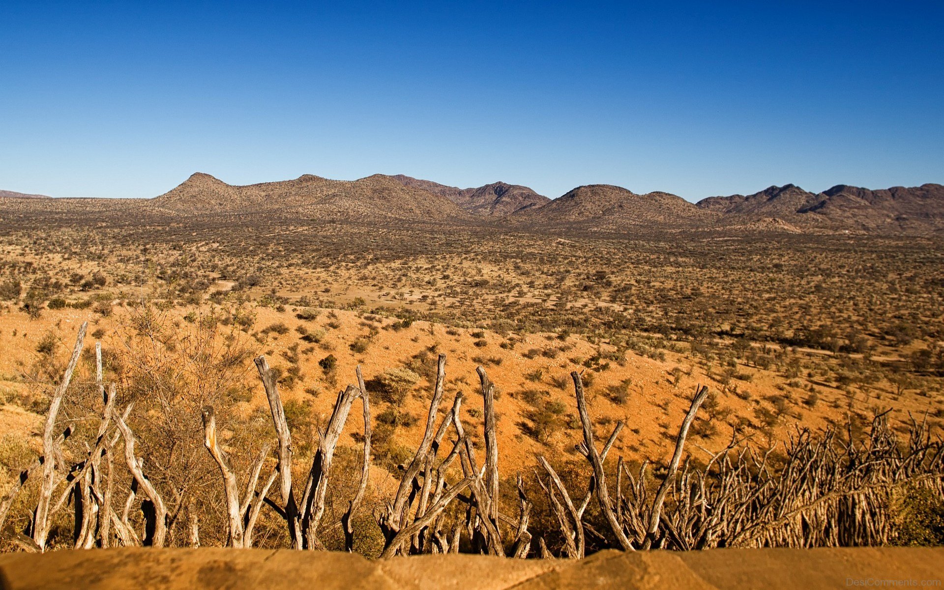 Best Kalahari Background