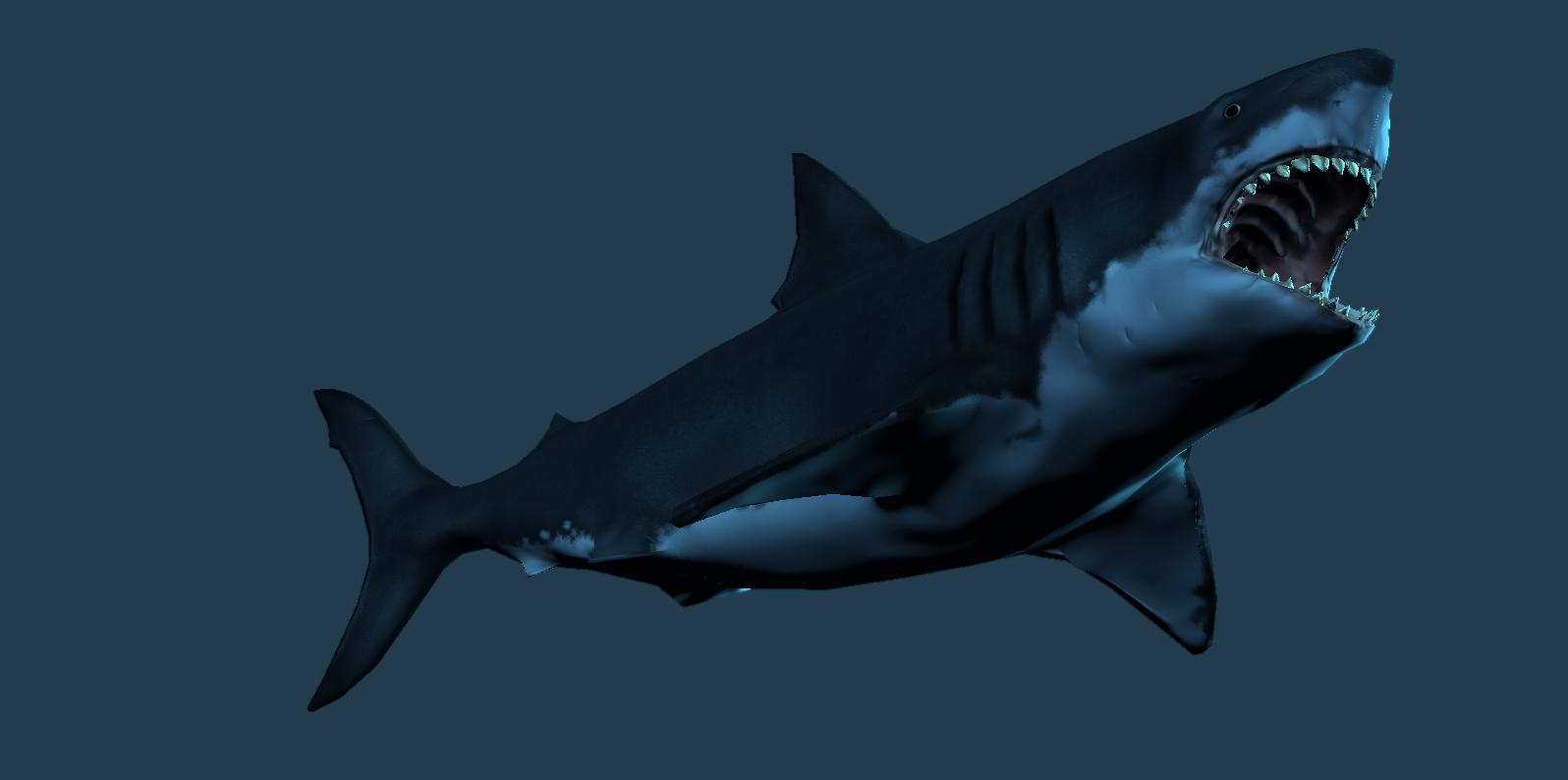 Megalodon Shark Desktop Background Es Walls Quality HD