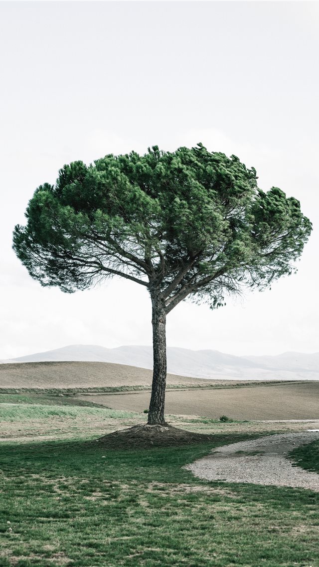 Best Nature iPhone HD Wallpaper