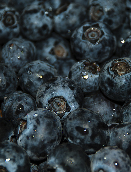 Blueberries Wallpaper For Amazon Kindle Fire HD
