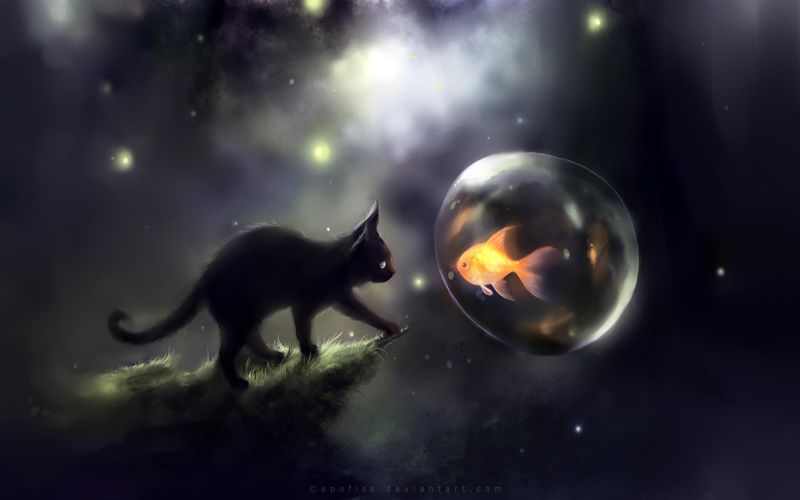 Funny Space Cat Wallpaper Wide 1C4 Px Kb Cute