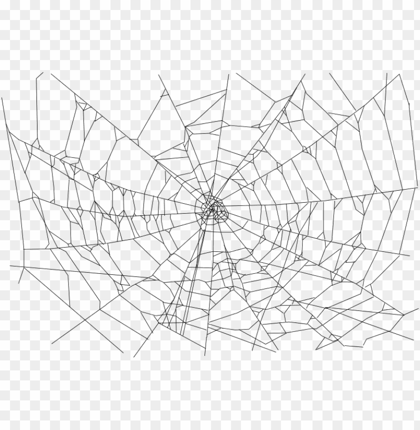 Transparent Background Spider Web Png Image With