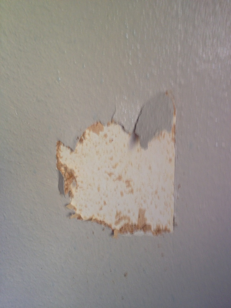 🔥 Free download but its textured wallpaper that has been painted