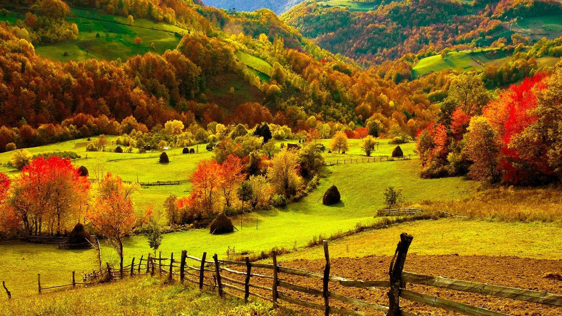 Tiny Farmhouse Hiding In The Trees 71p0f1ctm38r4fmp Wallpaper