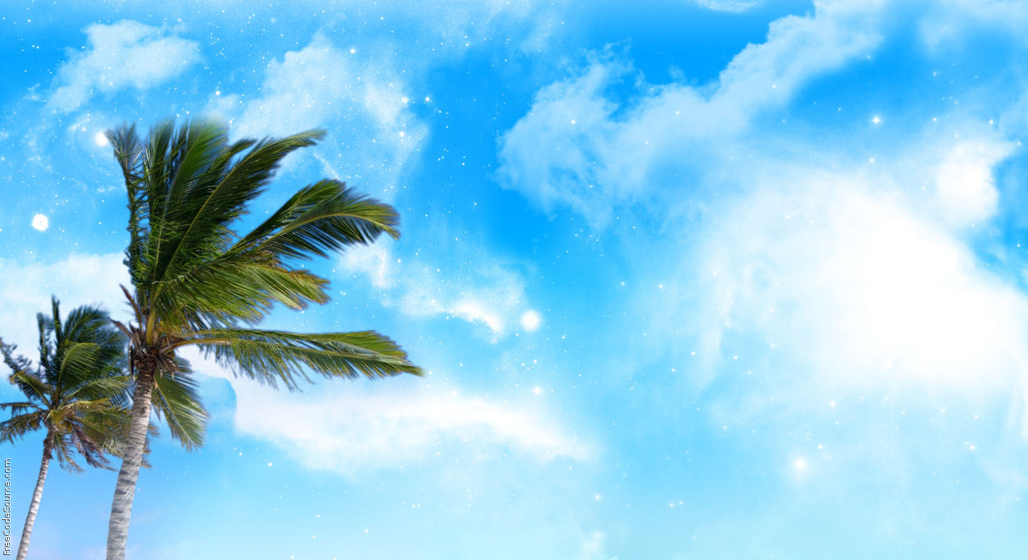 Palm Tree Background Palm trees blowingjpg
