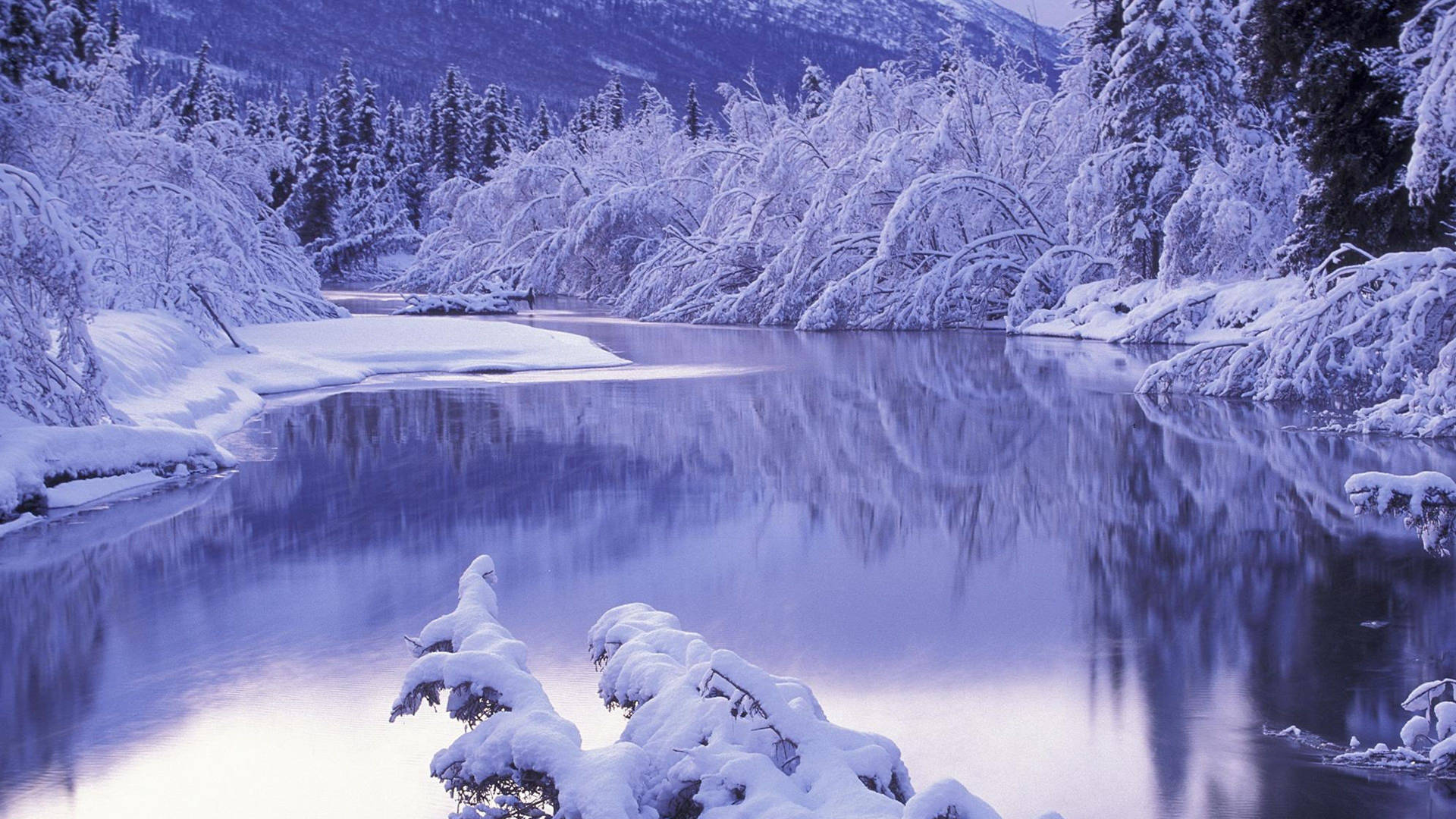 Serene winter landscape with snow-covered trees and a calm river reflecting the surroundings in 4K resolution