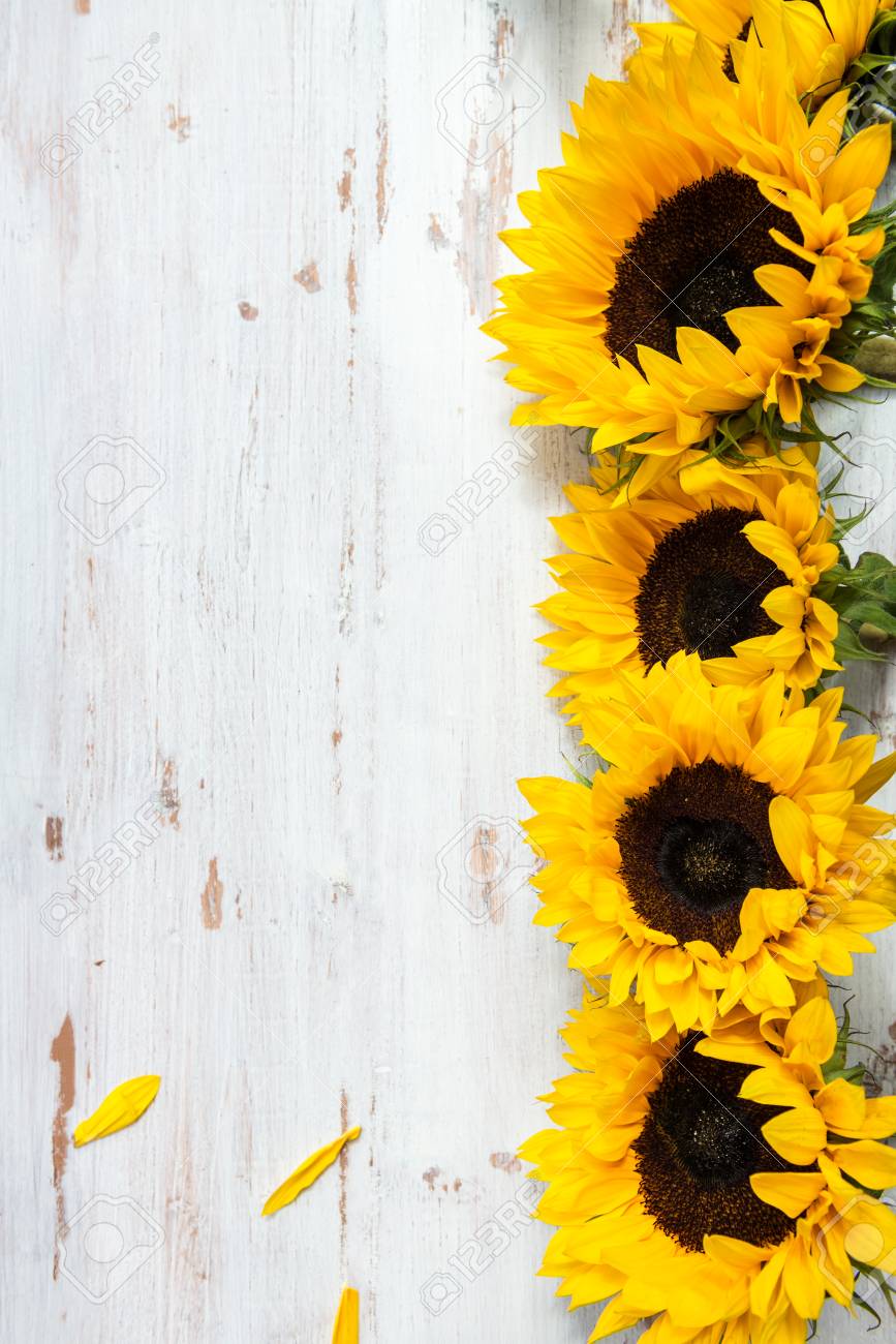 Yellow Sunflower Bouquet On White Rustic Background Autumn