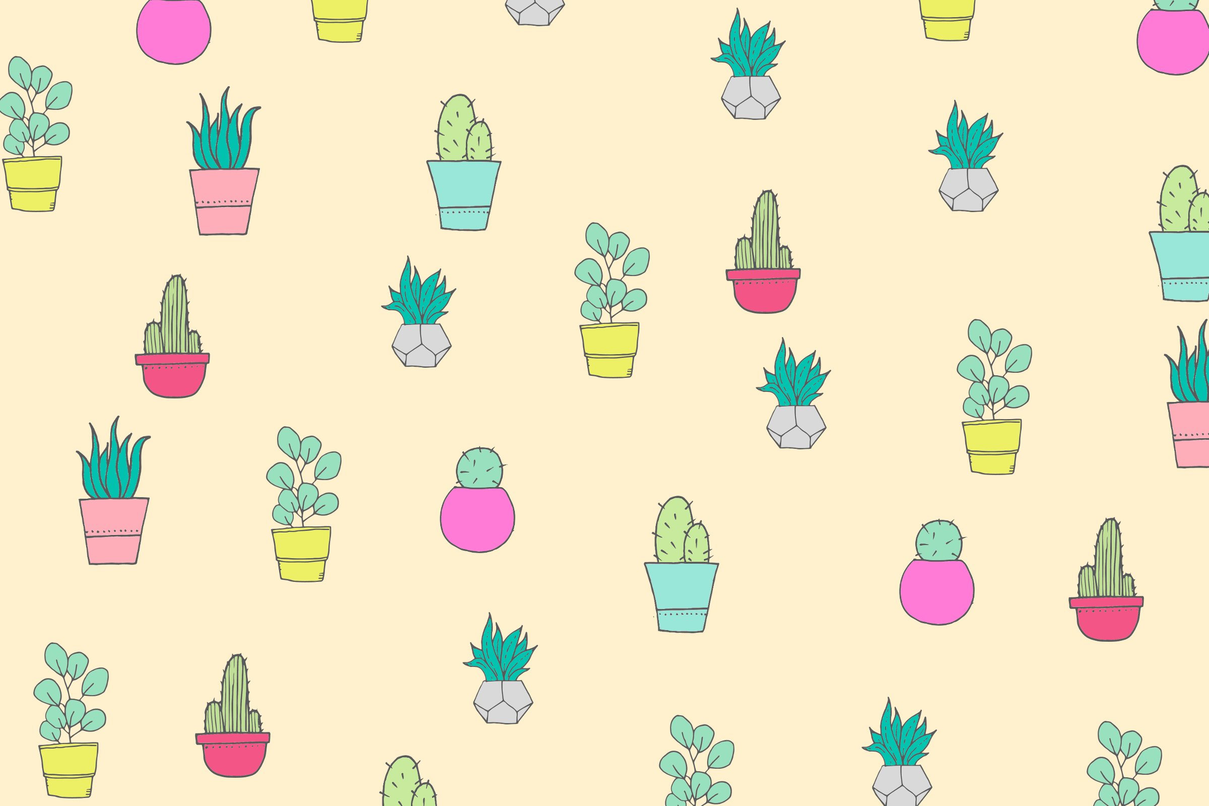 Cactus And Succulent Wallpaper For Your Desktop Tablet