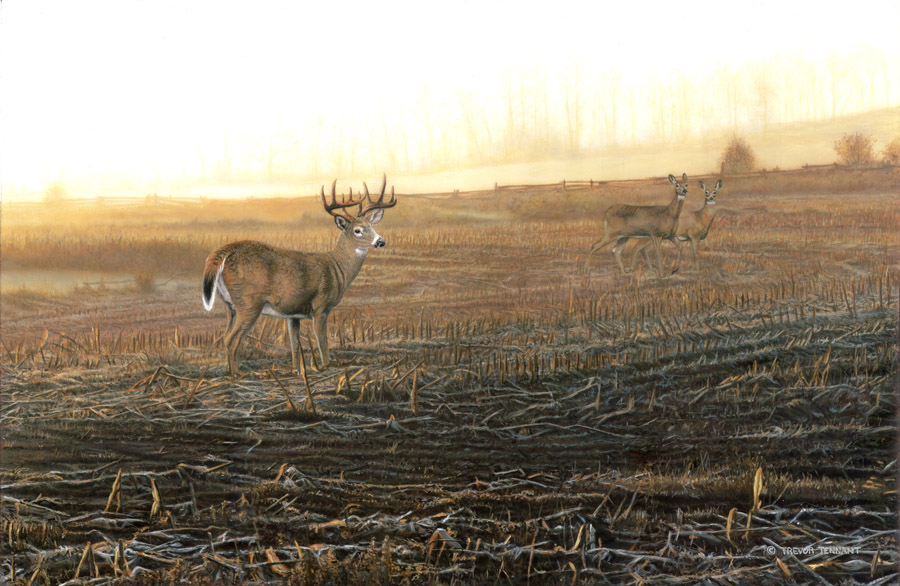 Deer Hunting Wallpaper Paintings