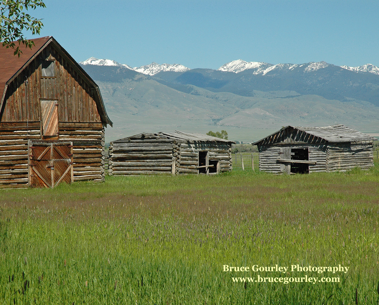 Country Life horse sky grass green blue field ranch farm HD phone  wallpaper  Peakpx