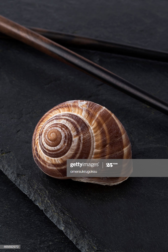 Free download Escargot And Chopsticks On Slate Background High Res