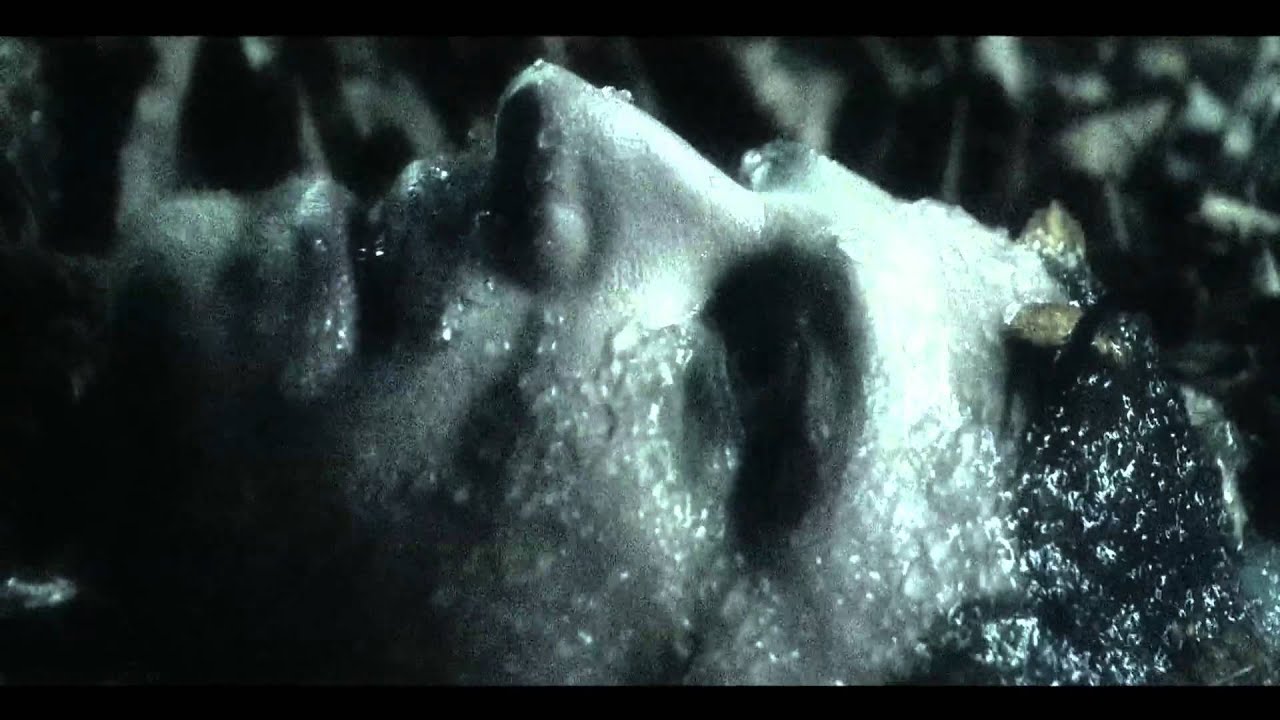 Cryoshell Creeping In My Soul Official Video Full HD