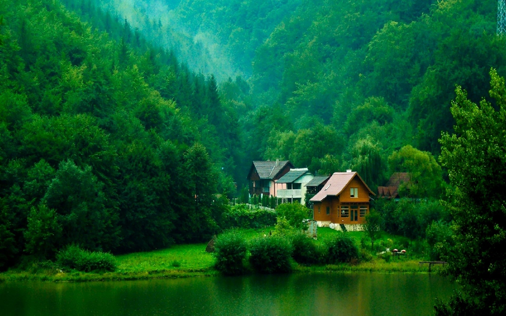House With Green Forest Full Screen High Resolution